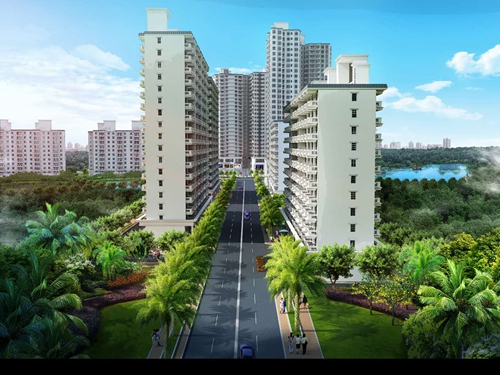 海南青岛宝门公寓绿化率怎么样？